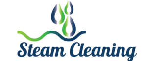 Steam Cleaning